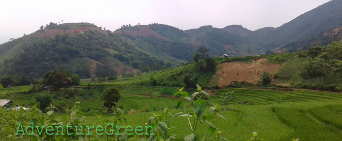 Idyllic nature at Trinh Tuong, Bat Xat, Lao Cai, Vietnam