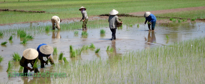 Vietnam Bike Tours, Cycling Holidays Cambodia Laos Myanmar Thailand