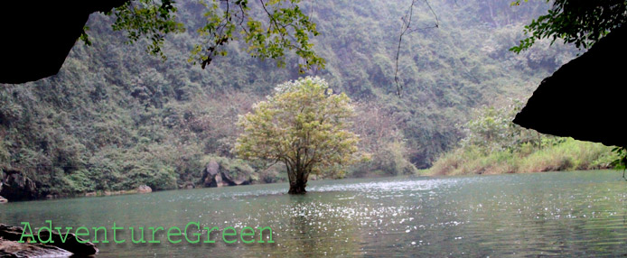 A secret lagoon at Trang An, Ninh Binh