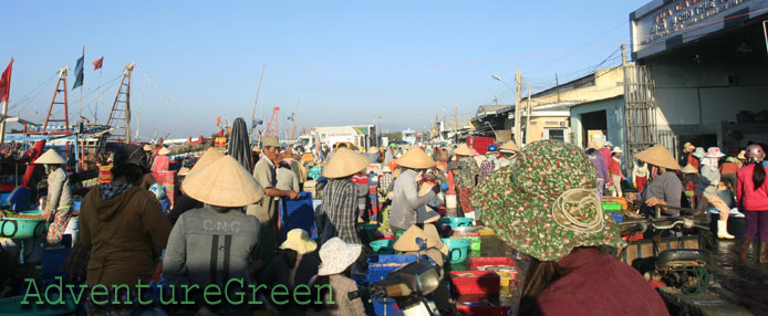 Dong Hai Fish Market, Phan Rang Thap Cham, Ninh Thuan Dong Hai Fish Market, Phan Rang Thap Cham, Ninh Thuan