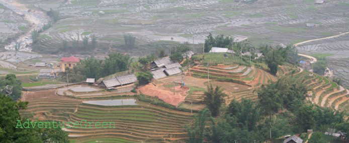 Terraces in the Muong Hoa Valley, Sapa