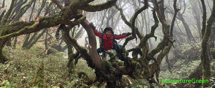 Sa Mu Peak, U Bo Mountain, Bac Yen, Son La