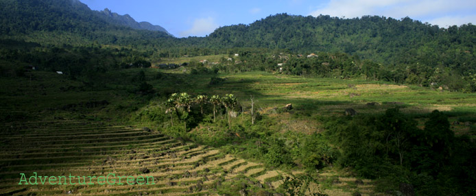 Trekking Tour to the Summit of Mount Pu Luong