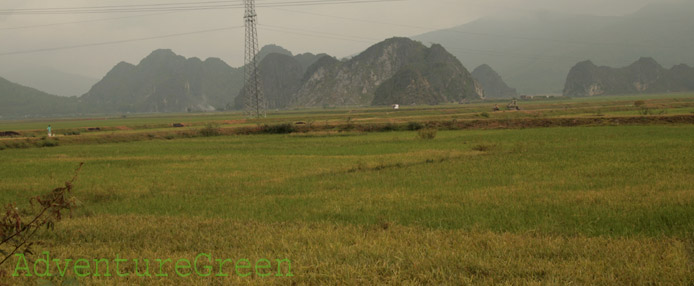 Countryside near Vinh Loc Thanh Hoa