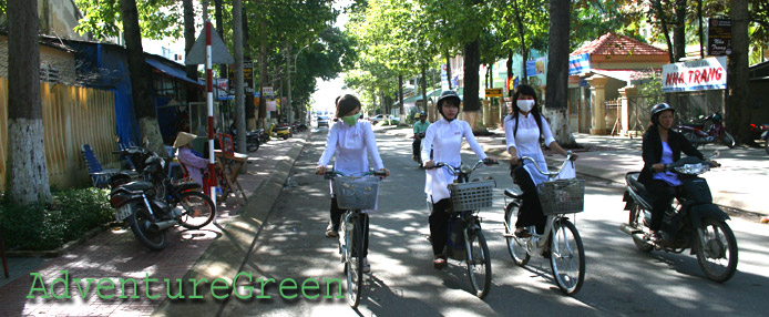 A leafy street in Tra Vinh City