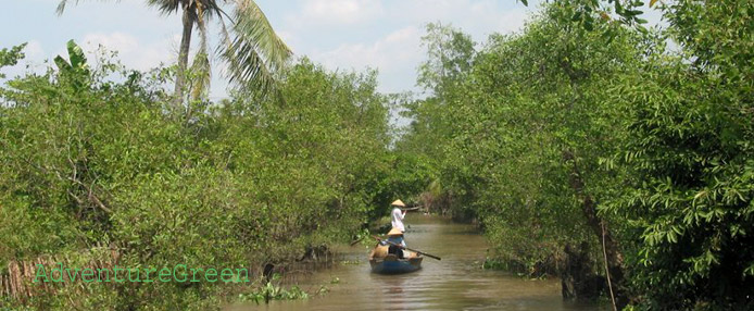 An orchard at Vinh Long