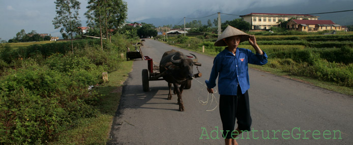 Countryside at Vinh Phuc