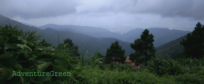 Animal Species at Tam Dao National Park, Vinh Phuc