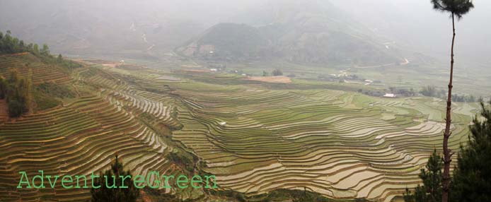 Cao Pha Tu Le Valley, Yen Bai, Vietnam