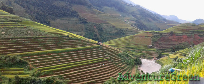 Capticating rice terraces at Mu Cang Chai