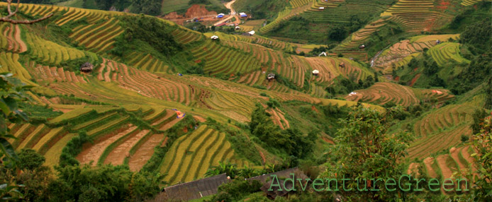 Amazing rice terraces at Mu Cang Chai, Yen Bai, Vietnam