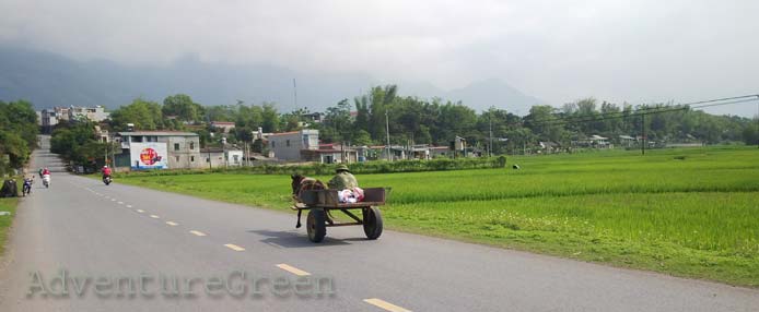 Muong Lo Valley, Nghia Lo, Yen Bai in April sunshine