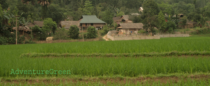 Houses on stilts at Van Chan, Yen Bai