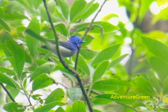 Vietnam Weather in May 2026