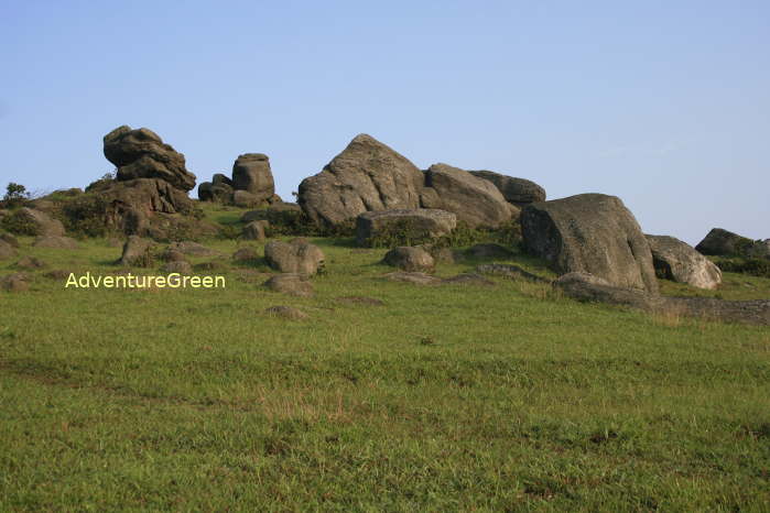 Dong Cao Prairie in Bac Giang Province, Vietnam