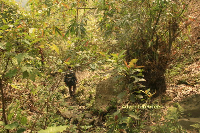 Our trekking tour is trails which mostly go down today