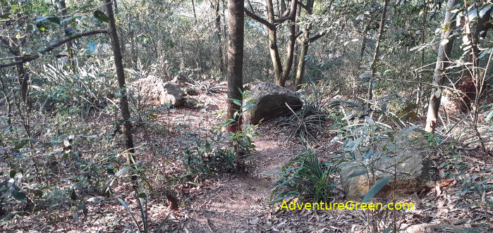 Trekking to the Phat Tich Pagoda, forest trail