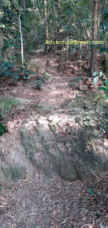 Trekking to the Phat Tich Pagoda, forest trail