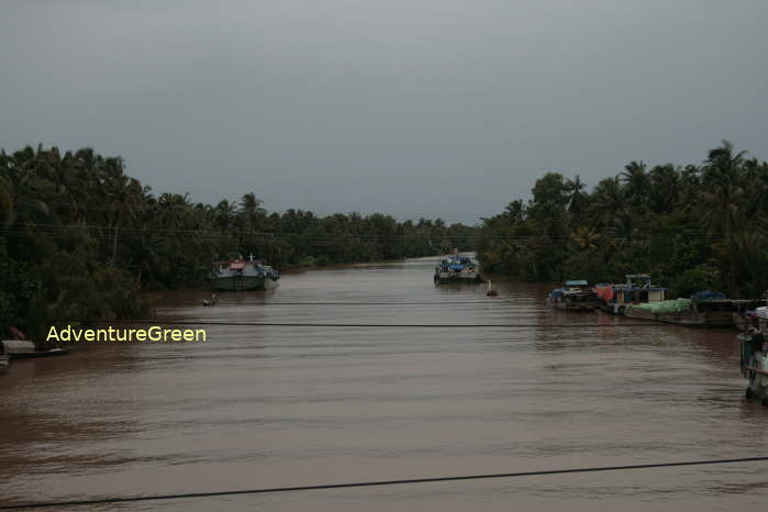 The Mekong River amid coconut forests in Ben Tre Province, Southern Vietnam