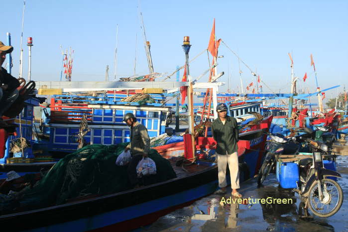 Phan Thiet Fish Harbor