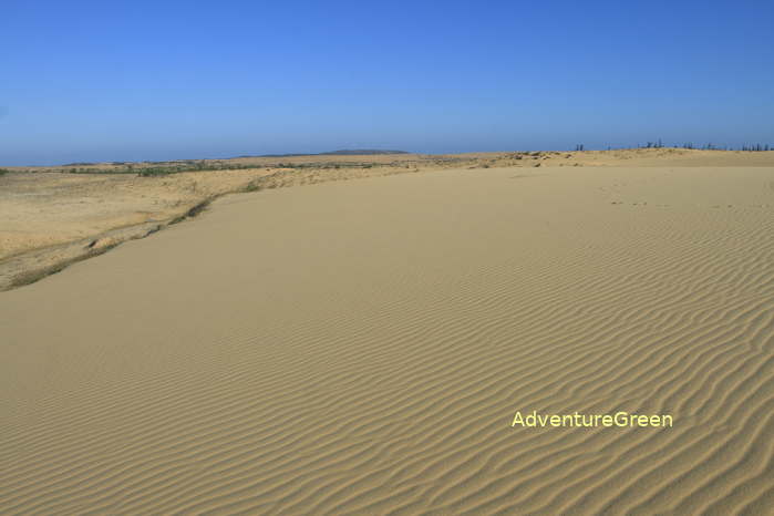 The White Sand Dune in Bac Binh District which can be day-tripped from Phan Thiet Mui Ne