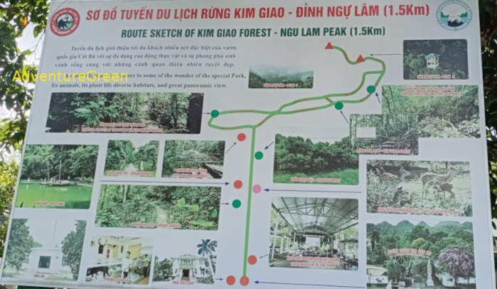 Cat Ba National Park Vietnam