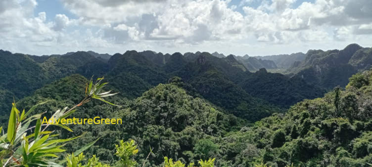 Cat Ba National Park Vietnam