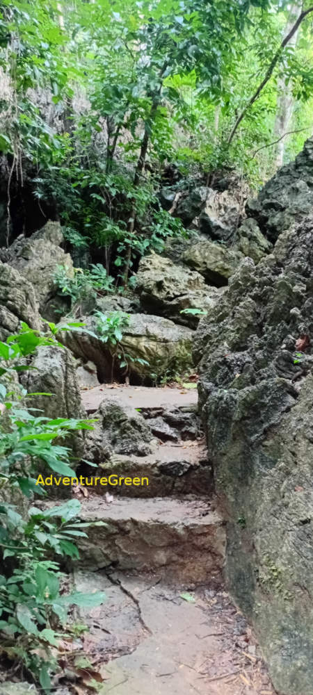 Cat Ba National Park Vietnam