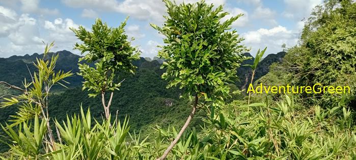 Cat Ba National Park, Vietnam