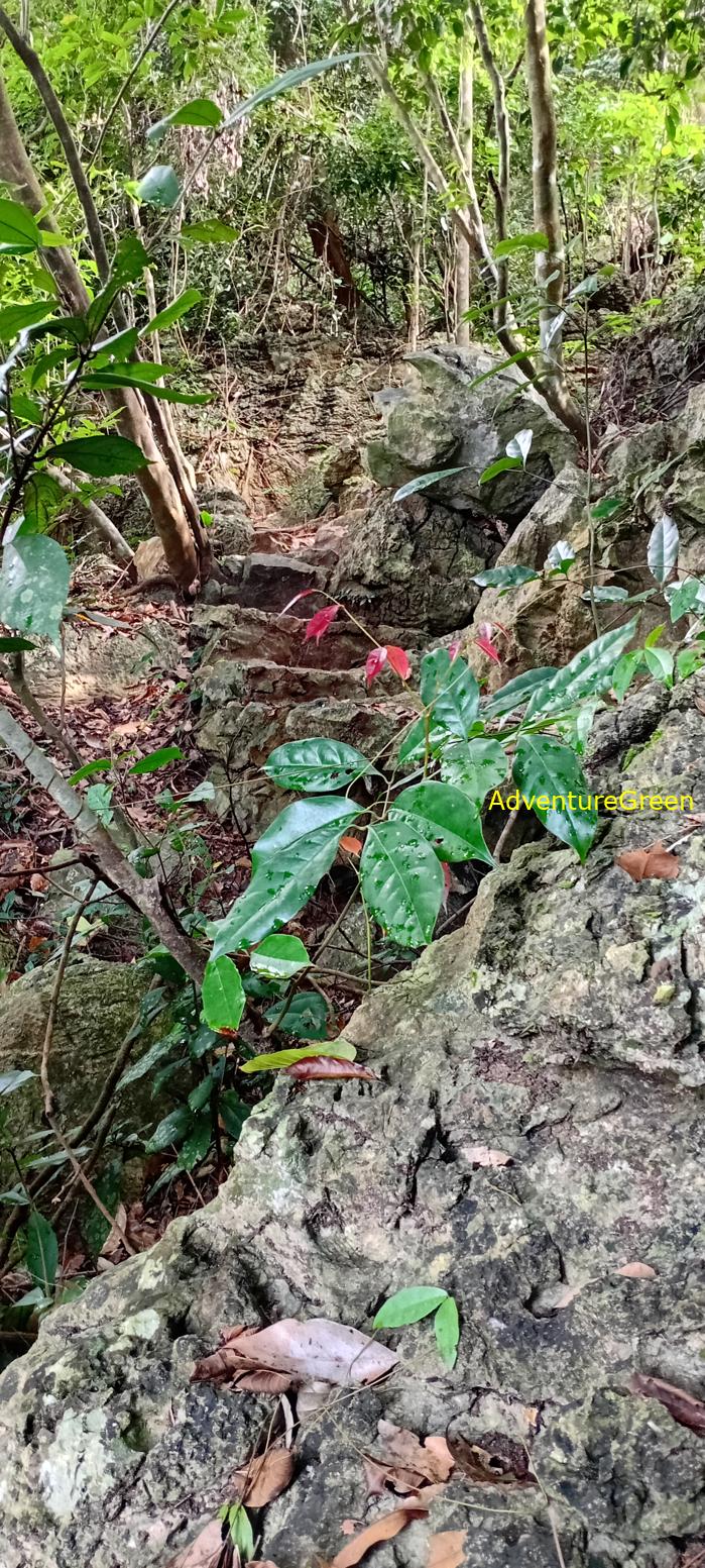 Cat Ba National Park, Vietnam