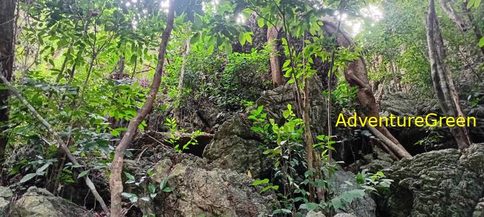 Cat Ba National Park, Vietnam