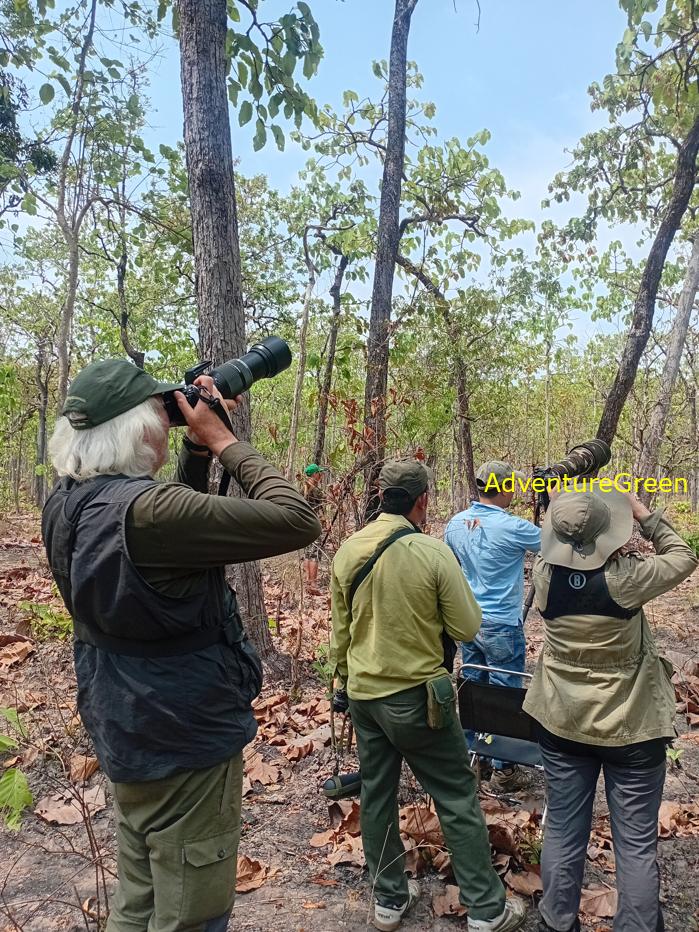 Best bird watching tours in southern Vietnam