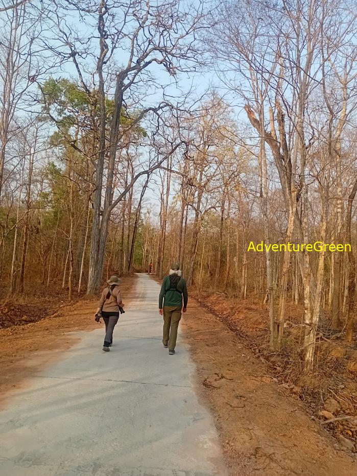 Best bird watching tours in southern Vietnam