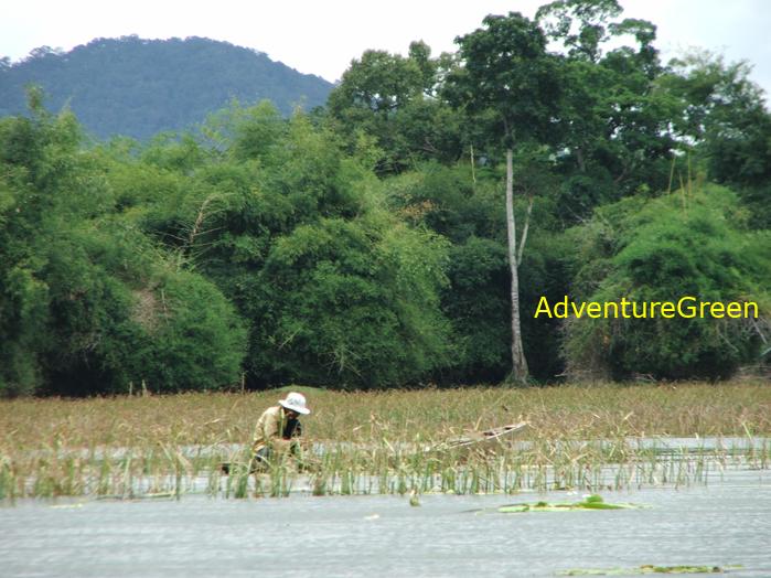 Travel guide to Dak Lak Vietnam Travel guide to Dak Lak Vietnam