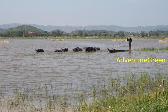 Travel guide to Dak Lak Vietnam Travel guide to Dak Lak Vietnam