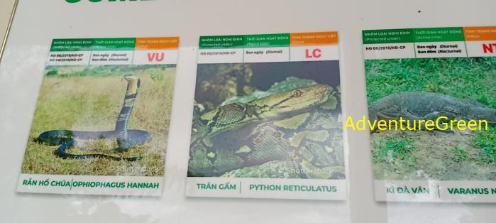 Bike and Hike Tour the Cat Tien National Park in Vietnam Bike and Hike Tour the Cat Tien National Park in Vietnam