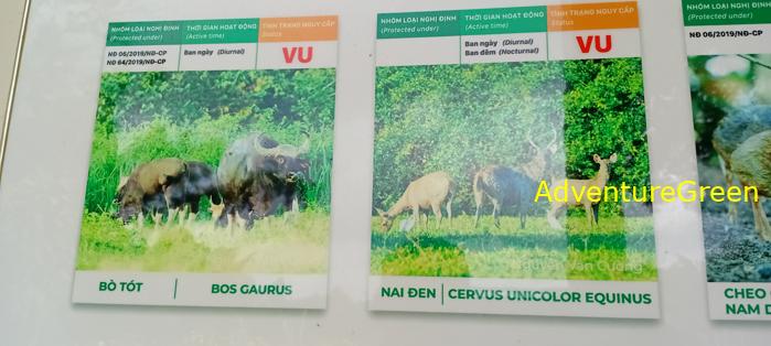 Bike and Hike Tour the Cat Tien National Park in Vietnam Bike and Hike Tour the Cat Tien National Park in Vietnam