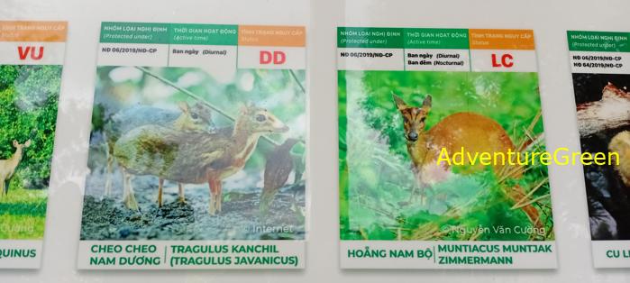 Bike and Hike Tour the Cat Tien National Park in Vietnam Bike and Hike Tour the Cat Tien National Park in Vietnam