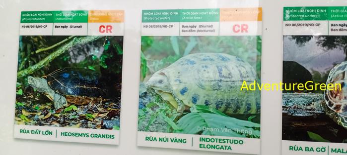 Bike and Hike Tour the Cat Tien National Park in Vietnam Bike and Hike Tour the Cat Tien National Park in Vietnam