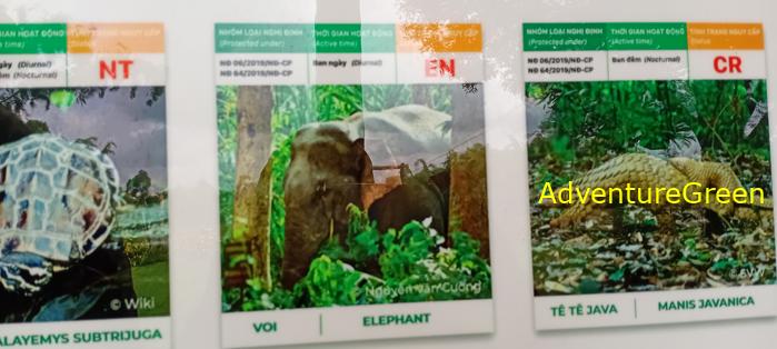 Bike and Hike Tour the Cat Tien National Park in Vietnam Bike and Hike Tour the Cat Tien National Park in Vietnam