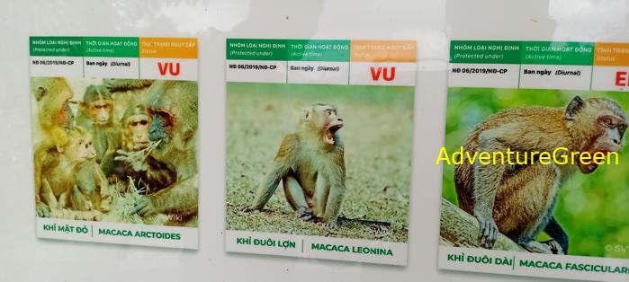 Bike and Hike Tour the Cat Tien National Park in Vietnam Bike and Hike Tour the Cat Tien National Park in Vietnam