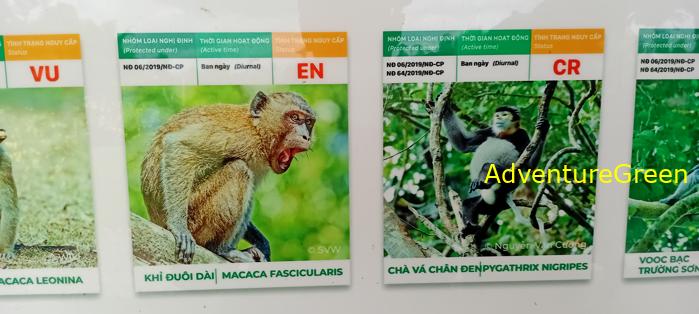 Bike and Hike Tour the Cat Tien National Park in Vietnam Bike and Hike Tour the Cat Tien National Park in Vietnam