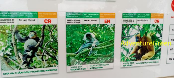 Bike and Hike Tour the Cat Tien National Park in Vietnam Bike and Hike Tour the Cat Tien National Park in Vietnam