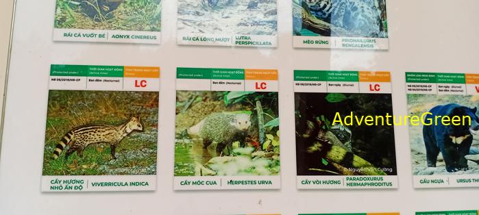 Bike and Hike Tour the Cat Tien National Park in Vietnam Bike and Hike Tour the Cat Tien National Park in Vietnam