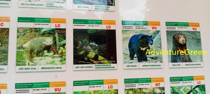 Bike and Hike Tour the Cat Tien National Park in Vietnam Bike and Hike Tour the Cat Tien National Park in Vietnam