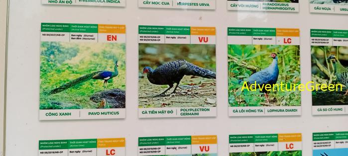 Bike and Hike Tour the Cat Tien National Park in Vietnam Bike and Hike Tour the Cat Tien National Park in Vietnam