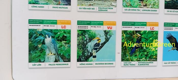 Bike and Hike Tour the Cat Tien National Park in Vietnam Bike and Hike Tour the Cat Tien National Park in Vietnam