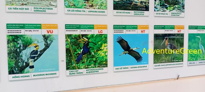 Bike and Hike Tour the Cat Tien National Park in Vietnam Bike and Hike Tour the Cat Tien National Park in Vietnam