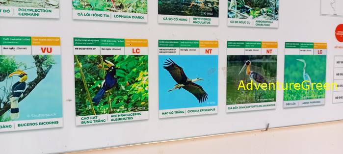 Bike and Hike Tour the Cat Tien National Park in Vietnam Bike and Hike Tour the Cat Tien National Park in Vietnam