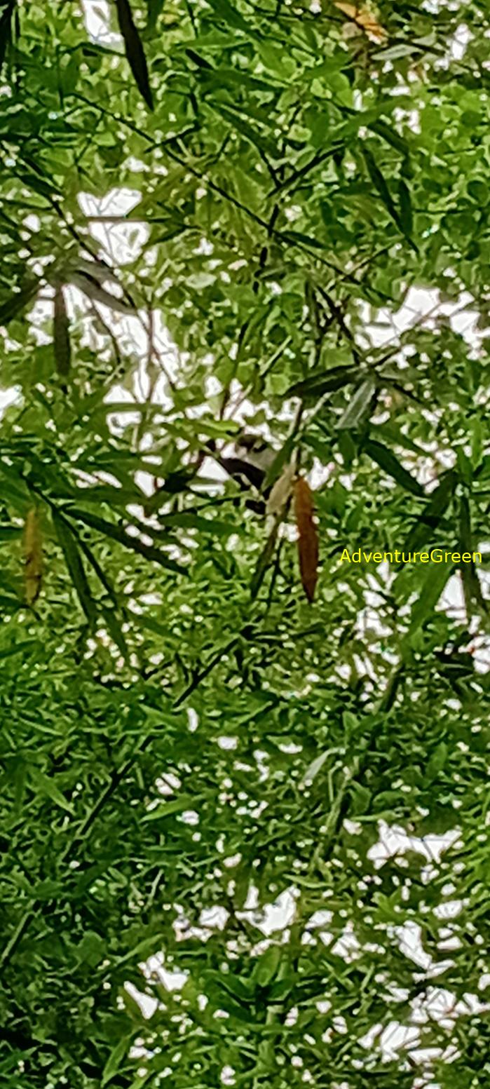Bike and Hike Tour the Cat Tien National Park in Vietnam Bike and Hike Tour the Cat Tien National Park in Vietnam